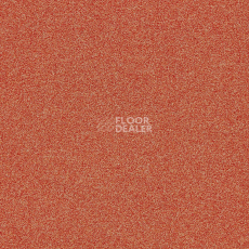 Ковровая плитка Interface Polichrome Stipple 4265022 Nectarine фото 1 | FLOORDEALER